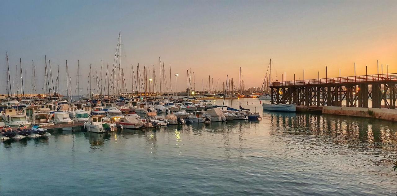Torrevieja Apartment Экстерьер фото